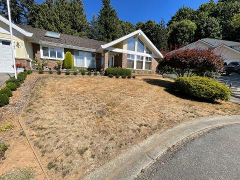 Go For Gold 2023 winner lawn