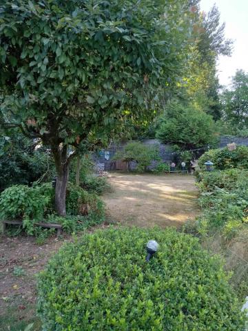 Go For Gold 2023 winner lawn - Mission